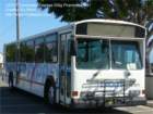 ladot87011_small.jpg