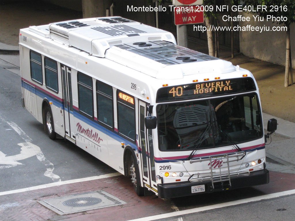 m291640.jpg