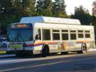 octa751683_small.jpg