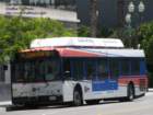 omni1225_small.jpg
