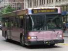 port523351a_small.jpg