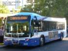 reno508_small.jpg