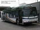 t304_small.jpg