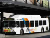 marta292430_small.jpg