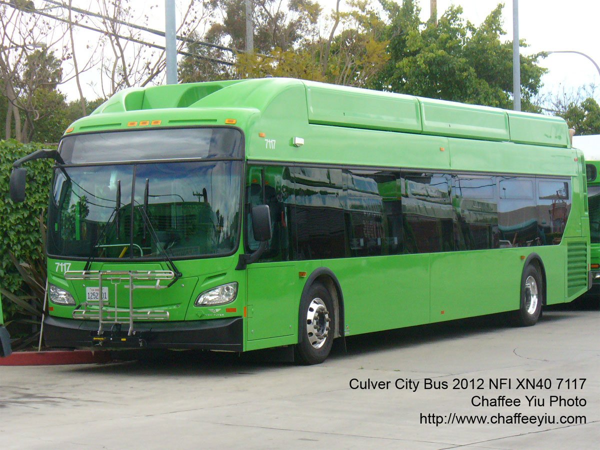 c7117.jpg