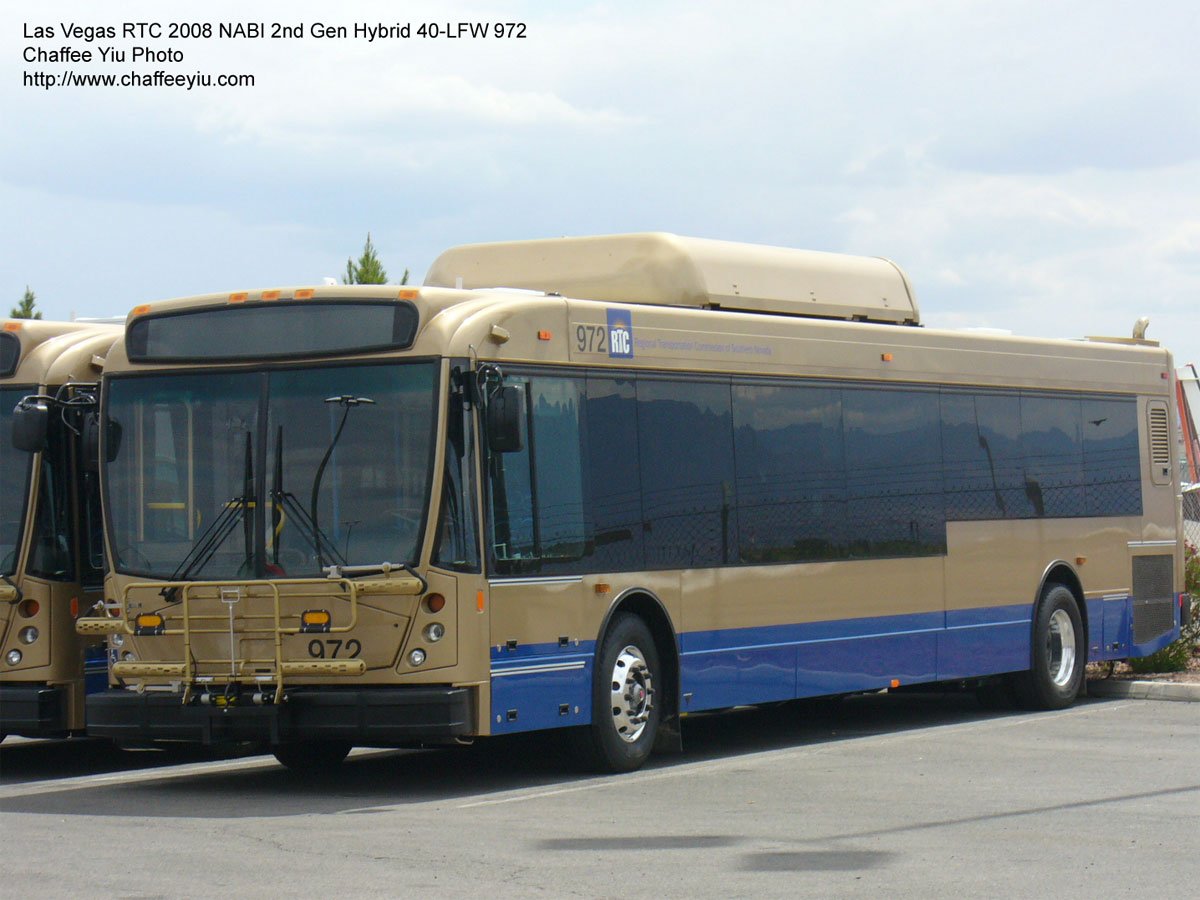 cat972.jpg