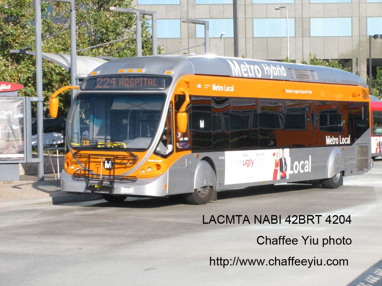 mta4204224.jpg