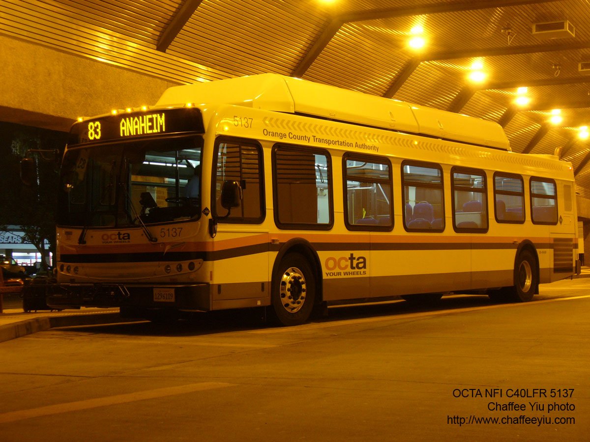 octa513783.jpg
