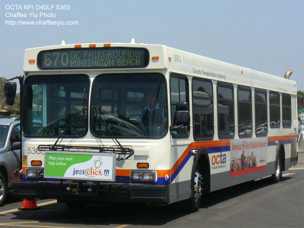 octa5363670.jpg