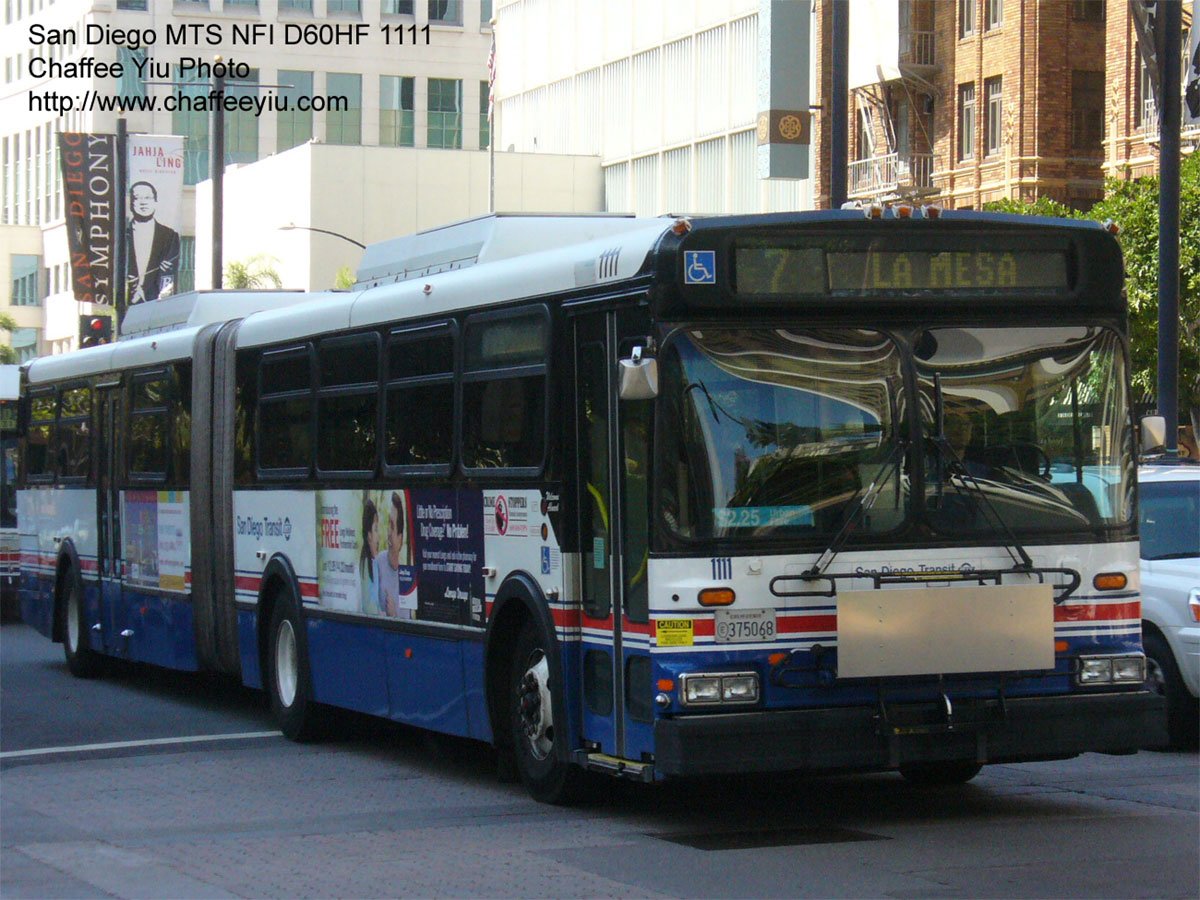 sdt1111.jpg
