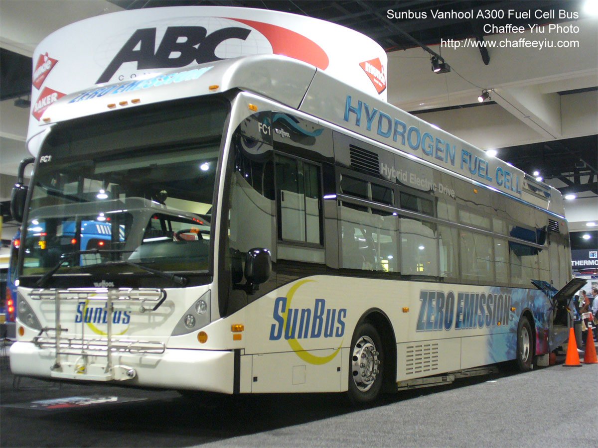 sunbusfc1.jpg