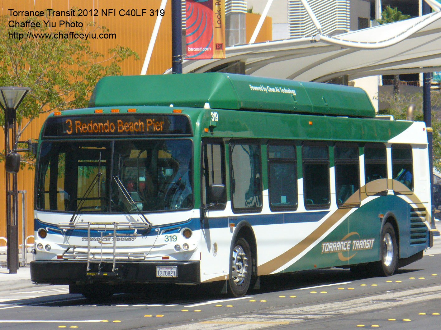 t3193.jpg