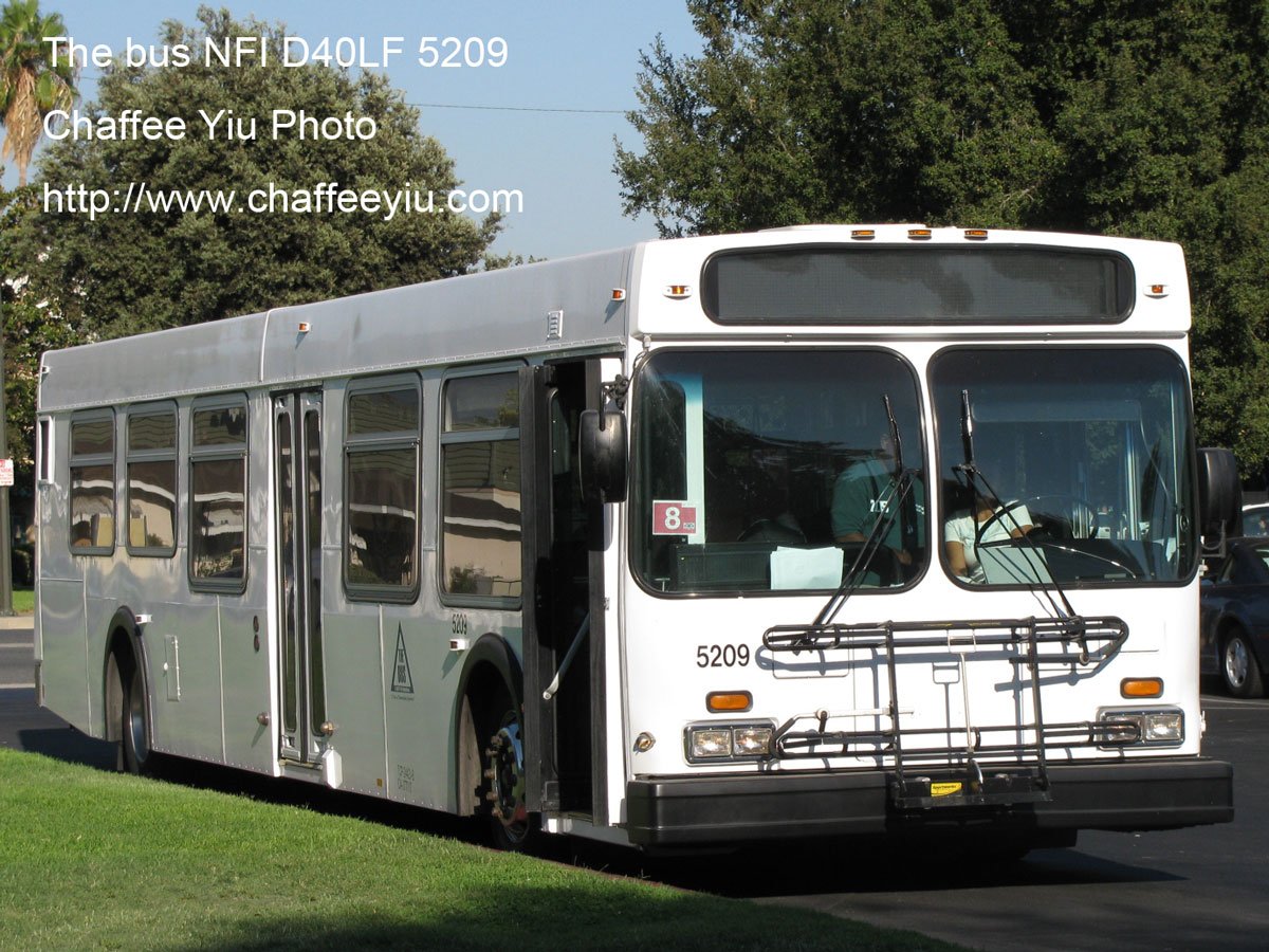 thebus5209.jpg