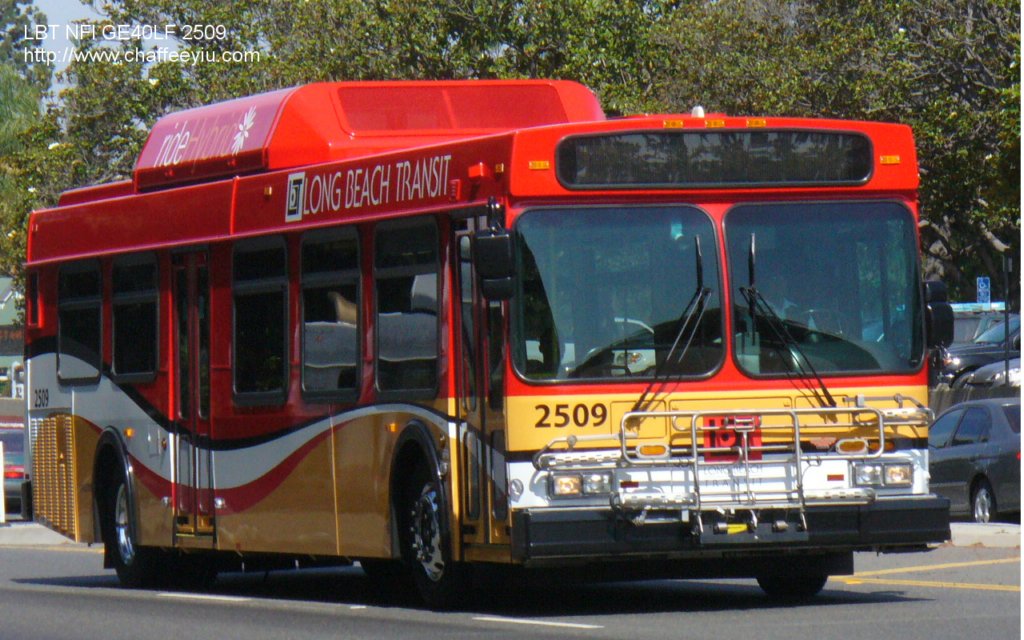 lbt2509.jpg