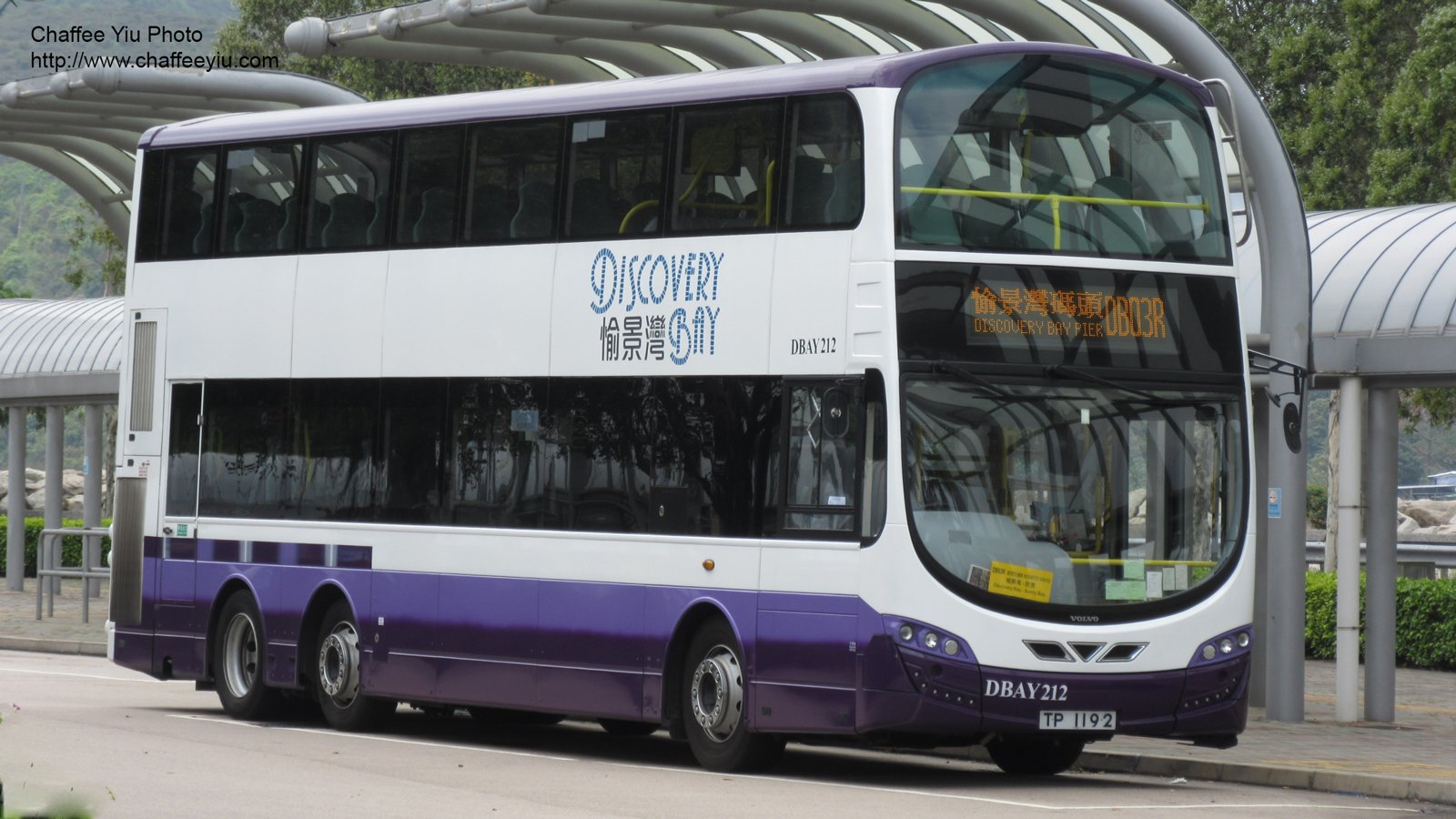 dbay212.jpg