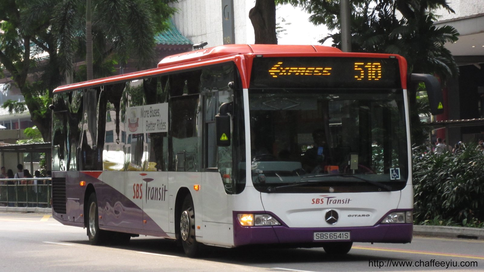 sbs6.jpg