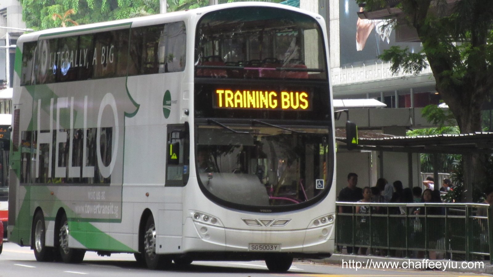 sgbus.jpg