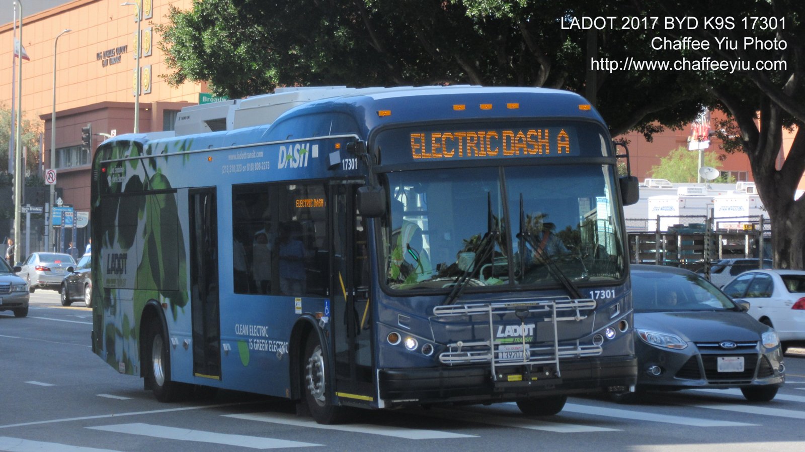 ladot17301.jpg