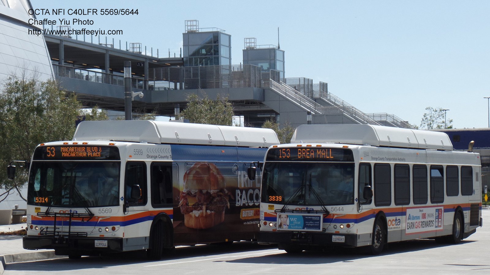 octa5569.jpg