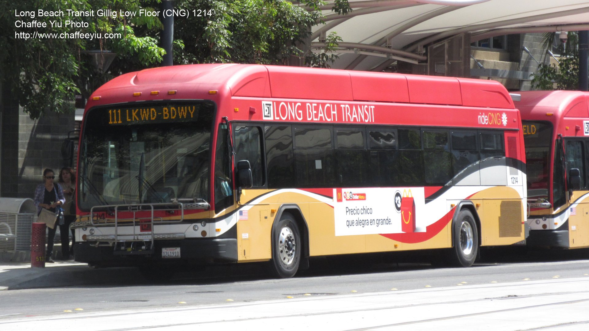lbt1214111.jpg