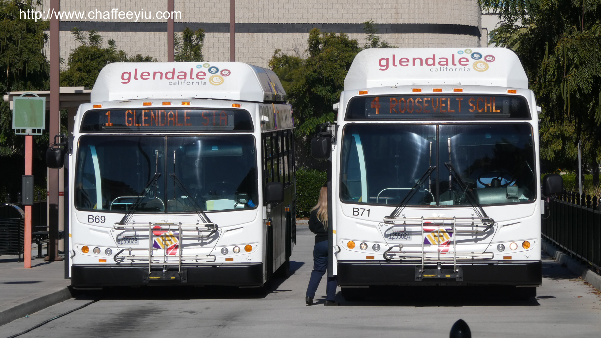 b71.jpg