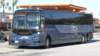 greyhound86879_small.jpg