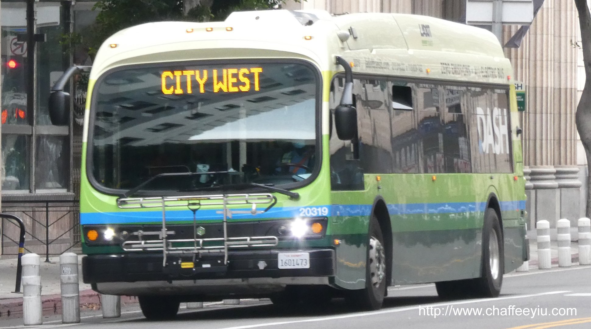 ladot20319.jpg