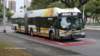 thebus161_small.jpg