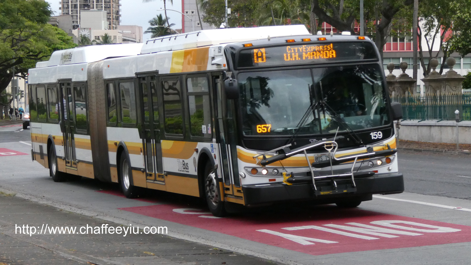 thebus_159.jpg