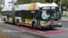 thebus_161_small.jpg
