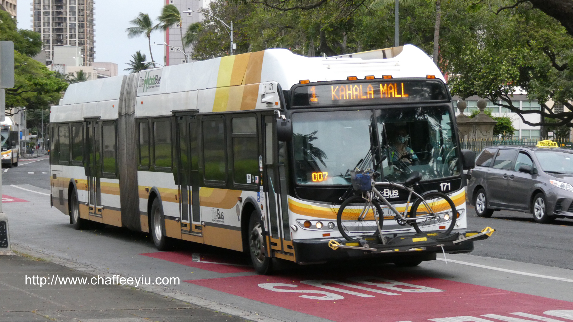 thebus_171.jpg