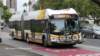 thebus_171_small.jpg