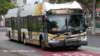 thebus_172_small.jpg