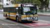thebus_262_small.jpg