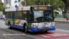 thebus_534_small.jpg