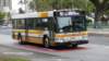 thebus_624_small.jpg