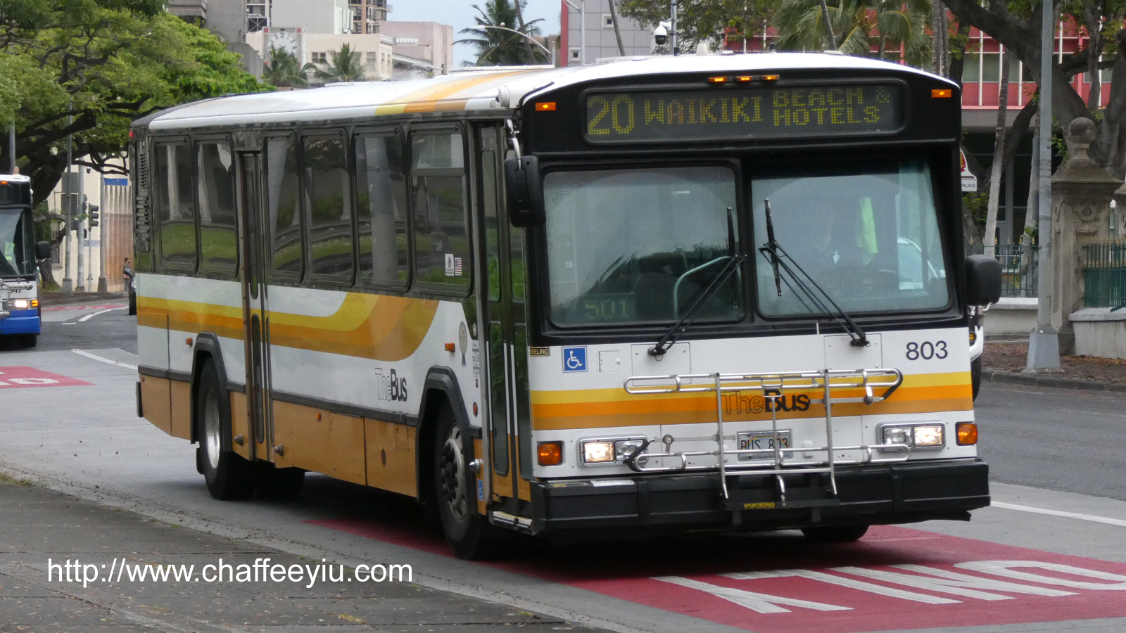 thebus_803.jpg