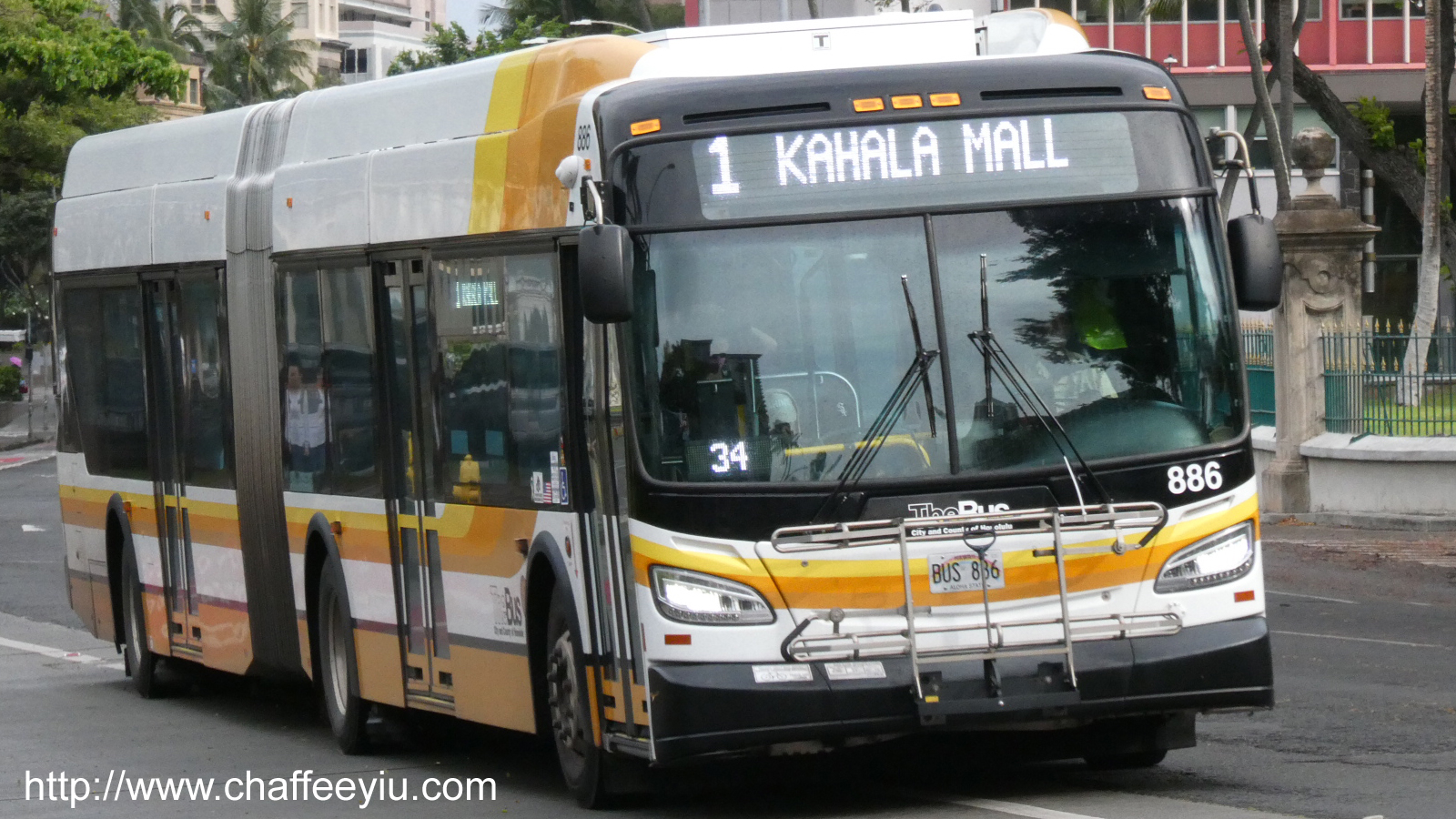 thebus_886.jpg