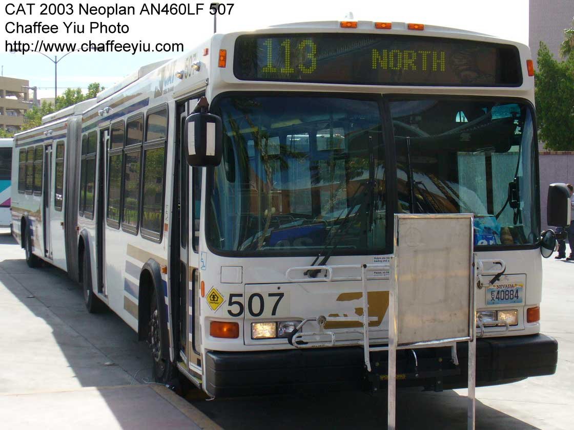 cat507113.jpg