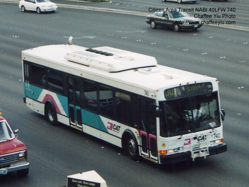 cat740301.jpg