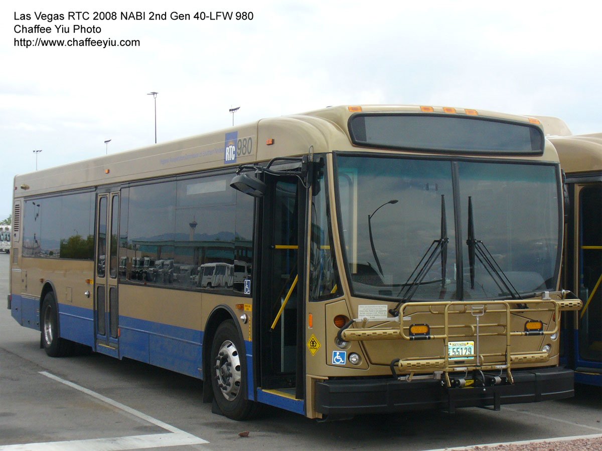 cat9801.jpg