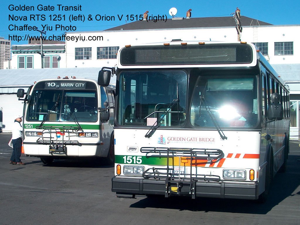 gg12511515.jpg