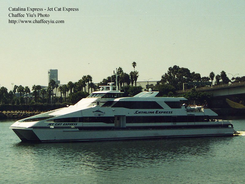 jetcat.jpg