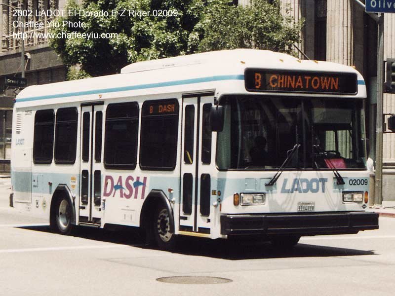 ladot02009.jpg