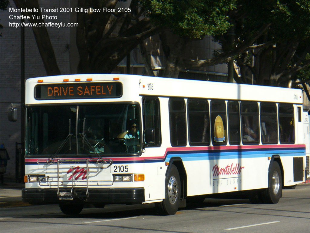 m210550.jpg