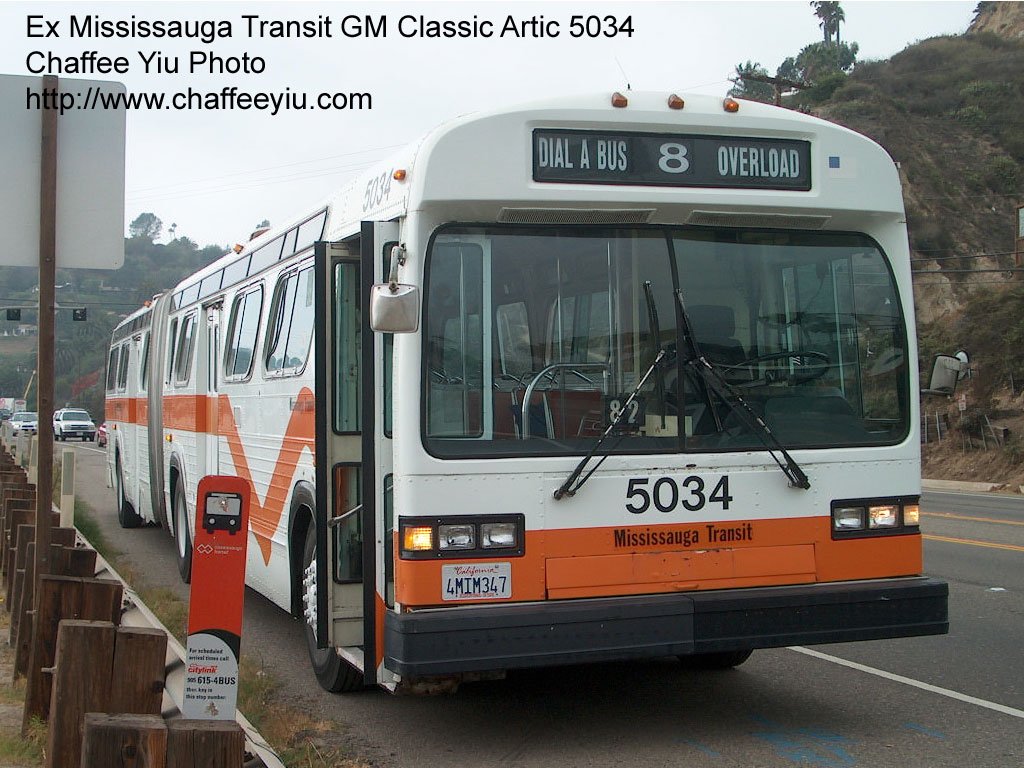 miss50342.jpg