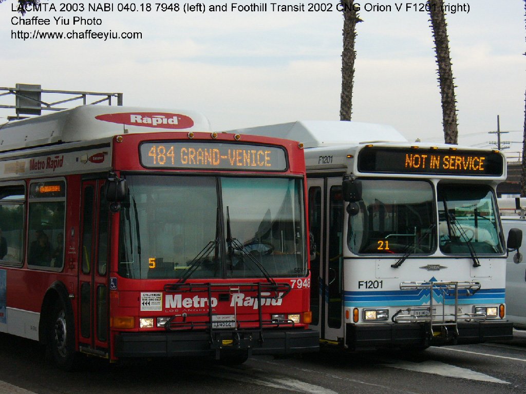 mta7948.jpg