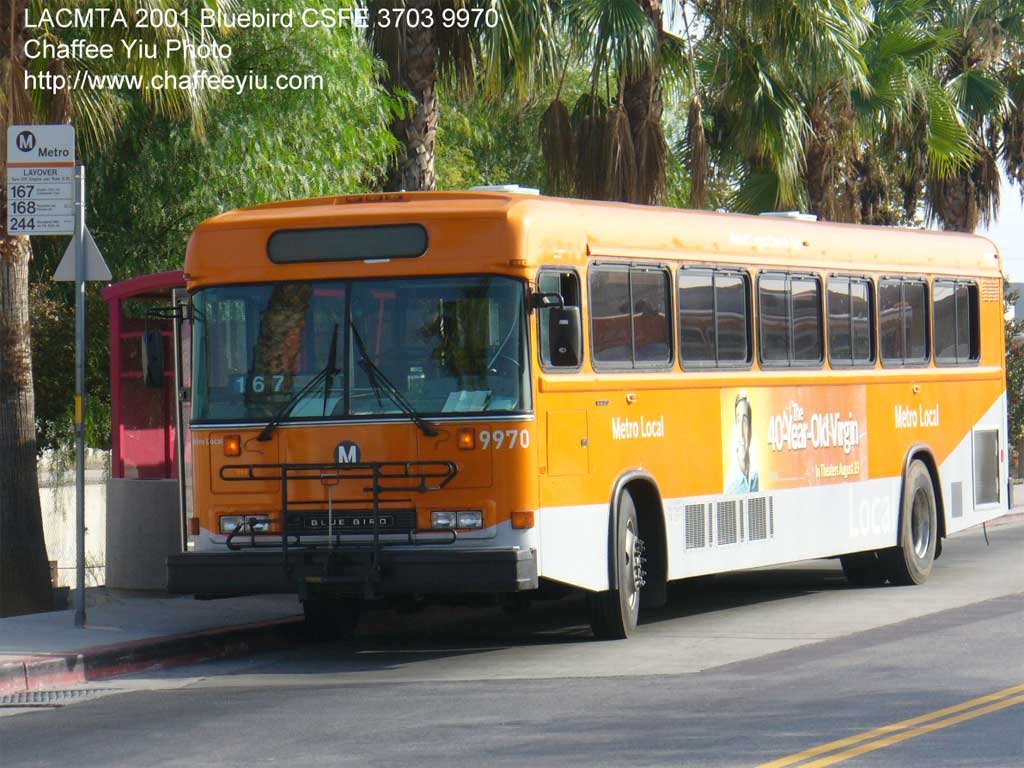 mta9970167.jpg