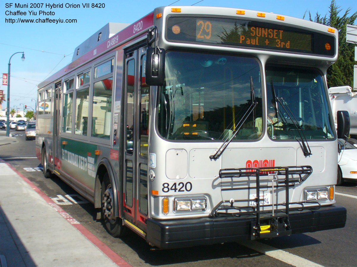 muni842029.jpg