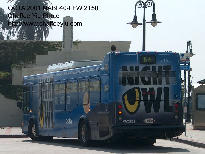 octa215054.jpg